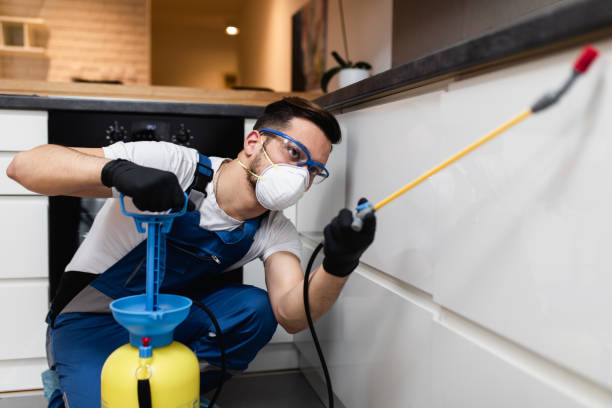 Best Affordable Pest Control Services  in Brunswick, NC